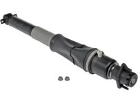 OEM 2006 Cadillac DTS Shock Absorber - 19300025