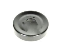 OEM Saturn Vue Pulley, Water Pump - 90502558