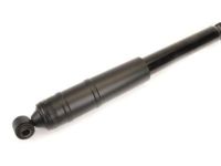 OEM 2022 Chevrolet Colorado Shock - 23376639