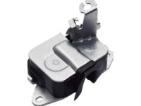 OEM GMC Rear Side Door Latch Assembly Lower - 20995801
