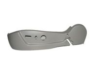 OEM 2006 Cadillac DTS Side Trim - 20952811