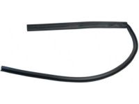 OEM GMC Sierra 3500 HD Belt Weatherstrip - 20921214