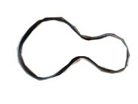 OEM Pontiac Firebird Weatherstrip Asm-Front Side Door - 10336550