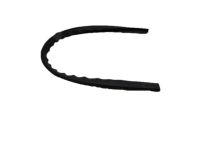 OEM 1996 Chevrolet Tahoe Weatherstrip, Rear Door - 15983925