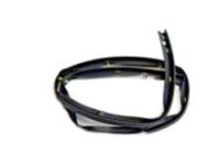 OEM Saturn Lower Weatherstrip - 25790461