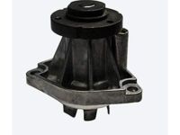 OEM 2002 Saturn Vue Water Pump - 55352002
