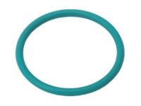 OEM Chevrolet Oil Seal - 55487654