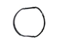 OEM 2010 Pontiac G3 Water Outlet O-Ring - 25189205