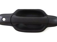 OEM 2009 Chevrolet Colorado Handle, Outside - 25875522