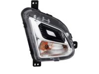 OEM 2021 Chevrolet Equinox Lamp Asm-Front Turn Signal - 84226246