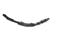 OEM Chevrolet Colorado Run Weatherstrip - 25956728