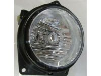 OEM Hummer Lamp Asm-Front Fog - 25949921