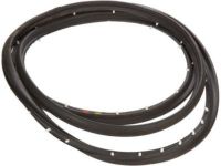 OEM 1994 Chevrolet G20 Weatherstrip Asm-Front Side Door - 15975379