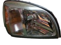 OEM 2002 Cadillac DeVille Capsule/Headlamp/Fog Lamp Headlamp - 19245430