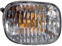 OEM Chevrolet Uplander Daytime Run Lamp - 15794333