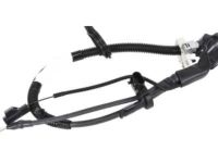 OEM Chevrolet Equinox Negative Cable - 23345557