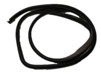 OEM Chevrolet Aveo5 Weatherstrip On Body - 96467379