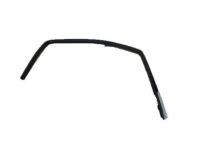 OEM 2012 GMC Yukon Run Weatherstrip - 22803683