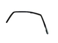 OEM Chevrolet Avalanche Run Weatherstrip - 22803683