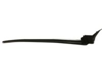 OEM 2011 Chevrolet Camaro Belt Weatherstrip - 92243319