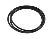 OEM 2008 Cadillac Escalade EXT Glass Weatherstrip - 22815954