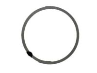 OEM Pontiac Trans Sport Duct Seal - 25511809