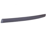 OEM Buick Regal Belt Weatherstrip - 10325228