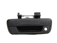 OEM Chevrolet Colorado Handle - 25801998