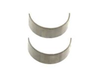 OEM Chevrolet Corvette Bearings - 19257826