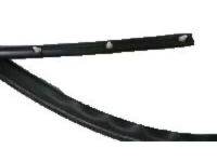 OEM 2002 Pontiac Grand Am Weatherstrip Asm-Roof Side Rail - 22614341