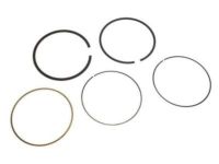 OEM 2009 Chevrolet Tahoe Piston Rings - 89018049