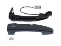 OEM 2020 Chevrolet Camaro Handle, Inside - 13521820