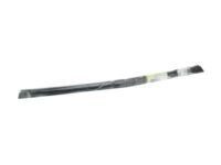 OEM Chevrolet Belt Weatherstrip - 22832142