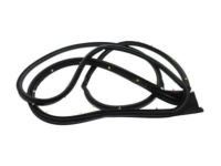 OEM Chevrolet Silverado 1500 Door Weatherstrip - 23286279