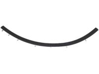 OEM Cadillac XLR Sealing Strip-Front Side Door Bottom Auxiliary - 10448624