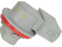 OEM Chevrolet Equinox Socket Asm-Rear Turn Signal Lamp - 25984640