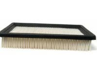 OEM Oldsmobile Cutlass Supreme Filter - 19166106