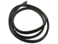 OEM 2008 Chevrolet Trailblazer Surround Weatherstrip - 19168172
