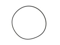 OEM 2020 Chevrolet Tahoe Extension Housing Seal - 24224675