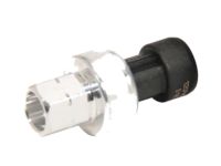 OEM 2003 Chevrolet Trailblazer EXT Fill Valve - 13587697