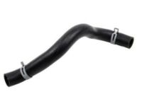 OEM 2001 Chevrolet Impala Upper Hose - 10421339