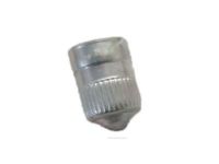 OEM Cadillac Escalade Tire Sensor Cap - 25731359