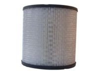 OEM Pontiac Firebird Filter - 25043504