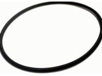 OEM 2005 Chevrolet Silverado 3500 Water Pump Gasket - 94013304
