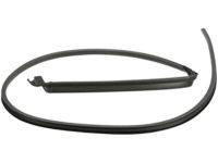 OEM 2004 Hummer H2 Weatherstrip - 25868657