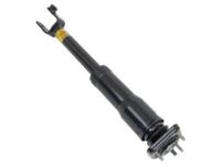 OEM 2008 Cadillac CTS Shock - 25884699