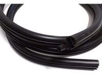 OEM 2005 Chevrolet Venture Weatherstrip On Body - 10449198