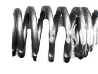 OEM Pontiac Valve Springs - 10166343