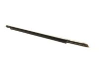 OEM 2001 Buick Century Belt Weatherstrip - 10325226