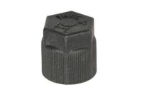 OEM 2008 Cadillac DTS AC Tube Cap - 88957402